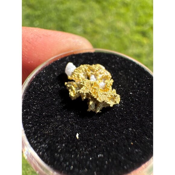 California Native Gold on Quartz Crystal - 0.76 grams - Picture 5 of 7